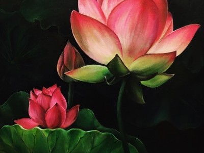 Vibrant Flower Collection, Water Lilies by Joyce Lee