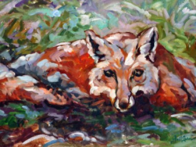 Fox in the Spring Grass