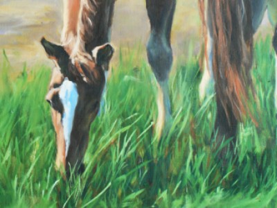 Summer Pastures by Margo   Petterson
