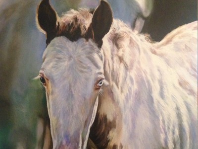 Spring Foal by Cindy Billingsley