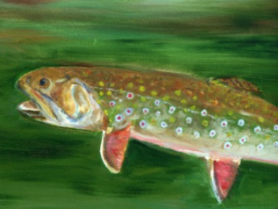 Rising Trout by Betsy Manierre