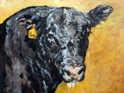 Buddy, the Angus Bull