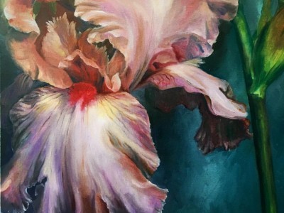 Vibrant Iris by Joyce Lee