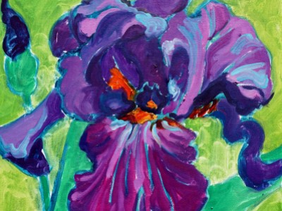 Iris Study, XII