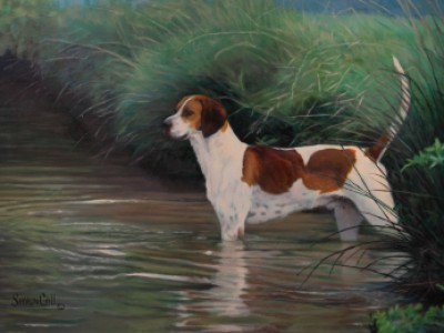 Hound Wading by Sharon Call