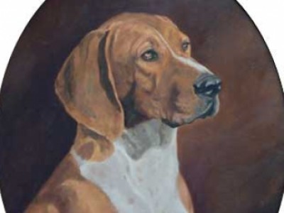 Handsome Hound by Dana Lee  Thompson