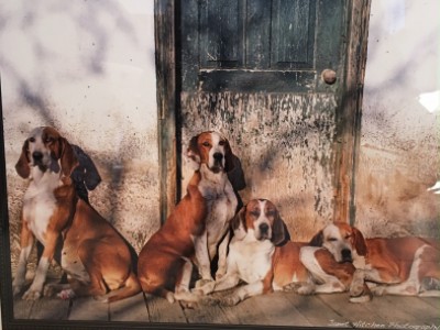 OCH at Old Kennels by Janet Hitchen