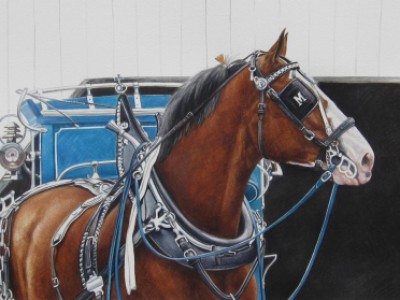 Fair Day-Blue Reins by Melinda   Brewer