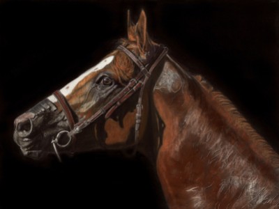 California Chrome - Awesome Again by Sue   Ziegler