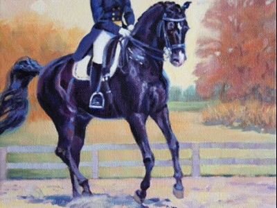 Dressage Clinic by Donna   Doyle