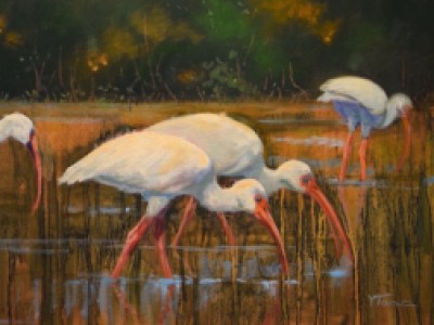 Ibis by Yvonne   Todd