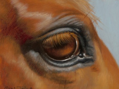 Shockey's Eye by Carol Lee  Thompson