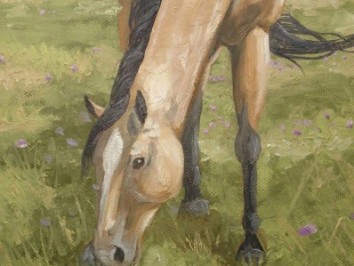 Summer Pasture by Christy Dieman