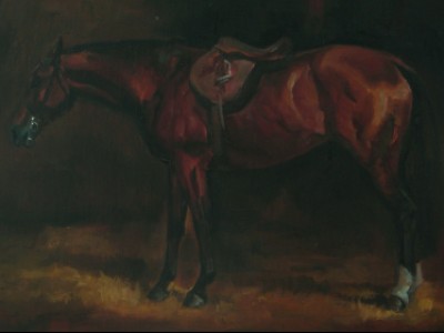 Dark Horse by Val   Wolf