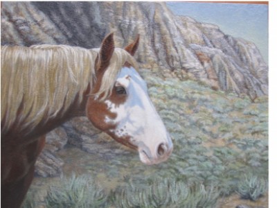 Badlands Mare by Barbara   Ellis