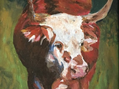 Hereford Steer by Sarah Holmberg
