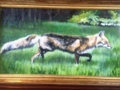 Fox in the Grass by Debbie   Cadenas