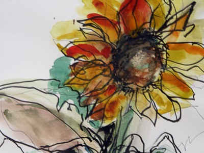 Sunflower Watercolor by Barbara A. Sharp