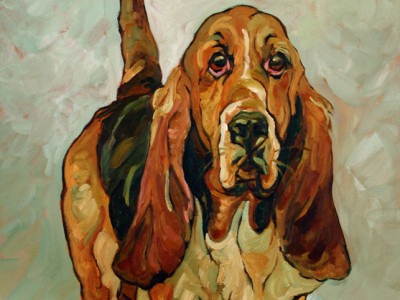 Bassett Hound