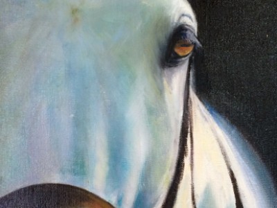 The Soul of the Horse by Sandra Forbush