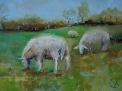 Grazing Sheep by Cody Leeser