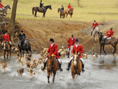 Fox Hunting