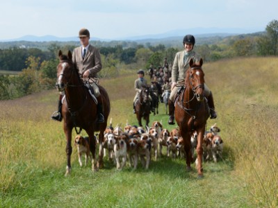 Piedmont Fox Hunting by Liz Callar