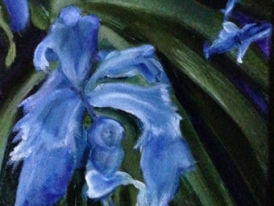 Dying  Iris by Sue Lyman