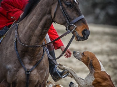 Trust by Doug   Gehlsen