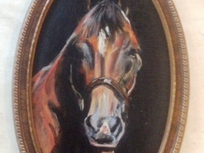 Horse in Shadow by Debbie   Cadenas