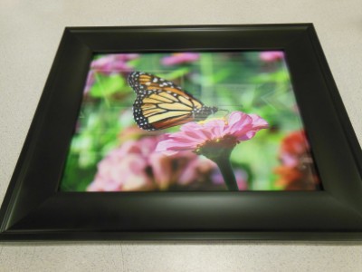A Sweet Treat - framed by Terry Milton