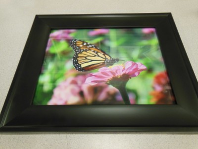 A Sweet Treat - framed