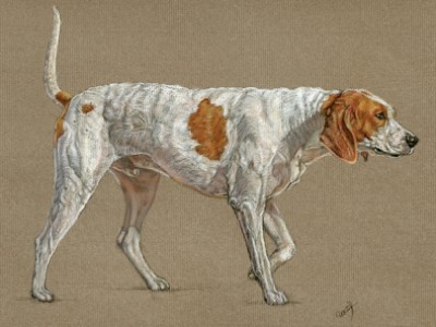 Casanova Hunt Hound by Mary   Cornish